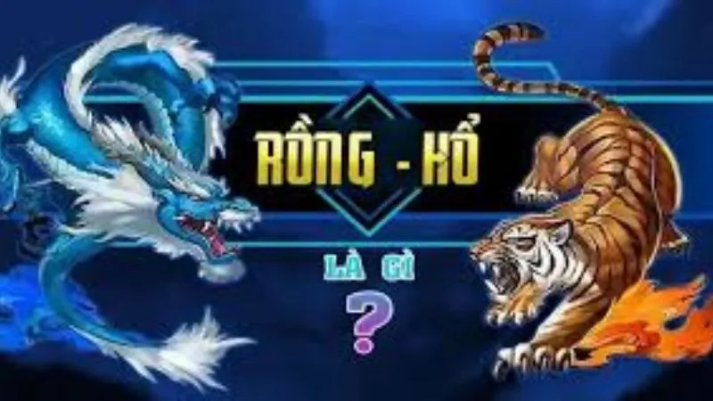 Kinh nghiệm chơi Rồng Hổ